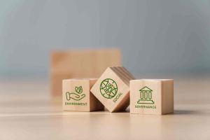Blocks with ESG components written on them - environmental, social, governance