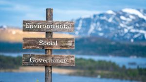 Woke capitalism, Environmental Social Governance sign,